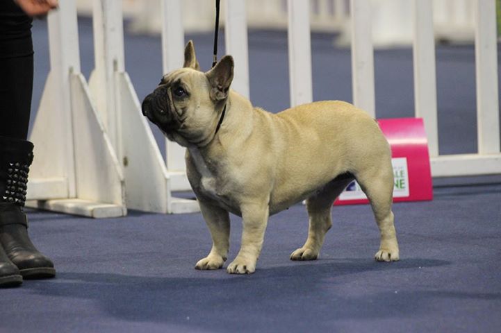 Hyna modja de l'écume des cimes blanches