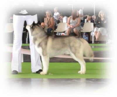 de l'écume des cimes blanches - CHAMPIONNAT DE FRANCE 2011