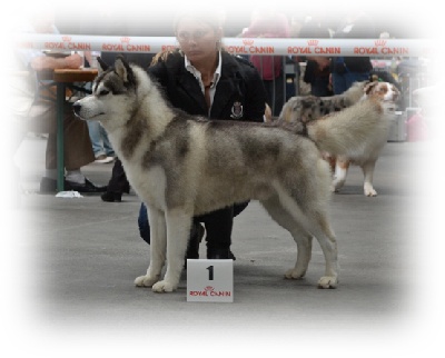 de l'écume des cimes blanches - RESULTAT DE L'EXPOS DE PONTOISE..