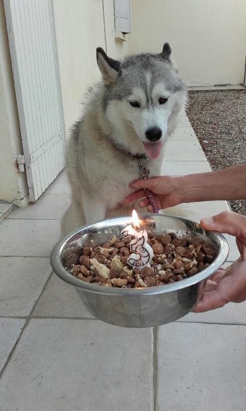 de l'écume des cimes blanches - LANA fête son anniversaire !!