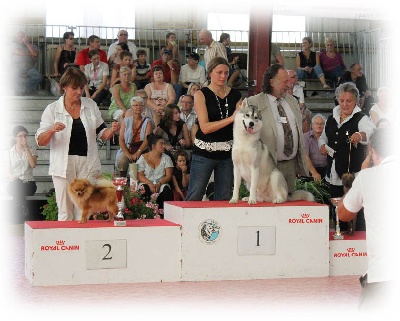 de l'écume des cimes blanches - RESULTAT DE L'EXPOS DE CHATEAU-GONTIER