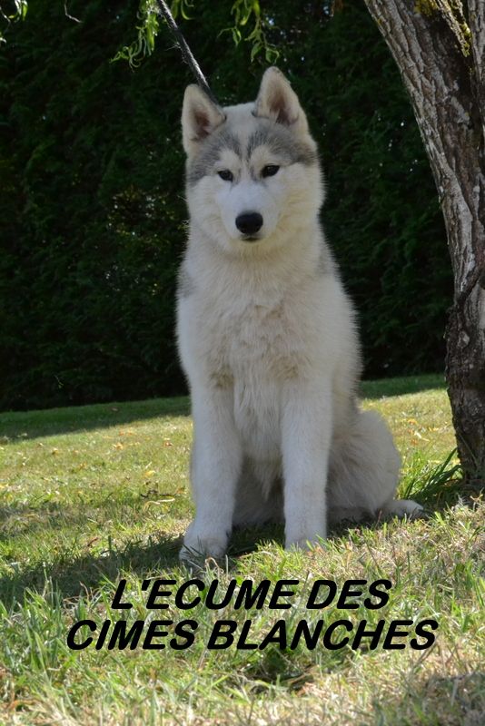 U'RILEY